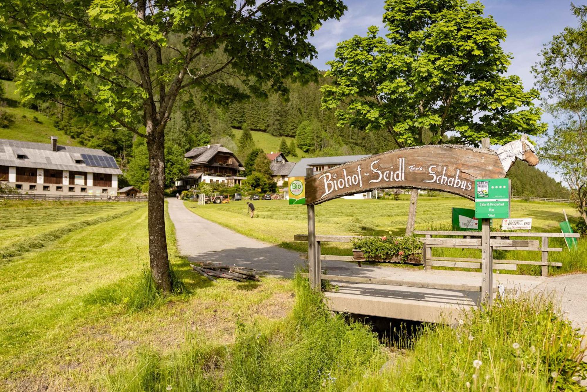 Апартаменты Biohof Seidl Бад Кляйнкирххайм Экстерьер фото